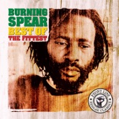 Burning Spear - Cry Blood Africa