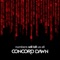 Amnesia - Concord Dawn lyrics