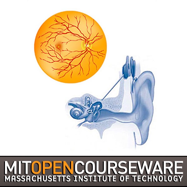 Sensory Systems cover