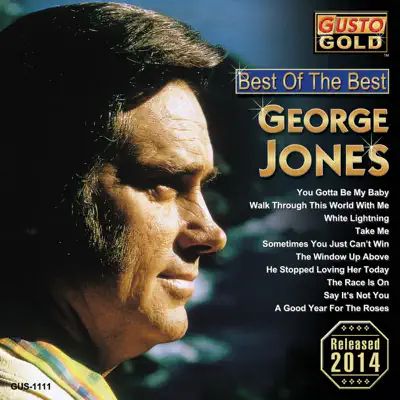 Best of the Best - George Jones