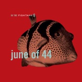 In the Fishtank 6 - EP