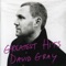 Destroyer - David Gray lyrics