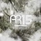 AR15 - Concrete Jungle - Charlie Sloth lyrics
