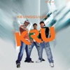 KRU - Di Dalam Dilema