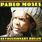 Pablo Moses - Come Mek We Run