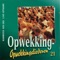Luid Gejuich (490) - Stichting Opwekking lyrics
