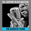 20th Century Blues Masters the Acoustic Years