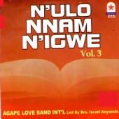 N'ulo Nnam Nigwe - Vol 3 (with Agape Love Band Int'l) artwork