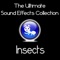 Hornet - Pro Sound Effects Library lyrics