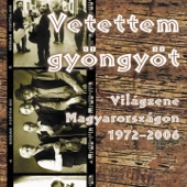 Vetettem Gyöngyöt (Világzene Magyarországon 1972-2006) artwork