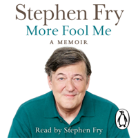 Stephen Fry - More Fool Me (Unabridged) artwork