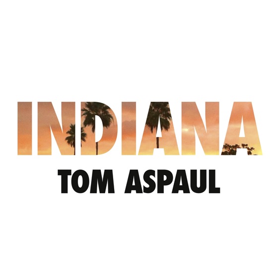 Cover artwork for Indiana (FTSE's Eerie Indiana Remix)