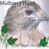 Night Hunter artwork