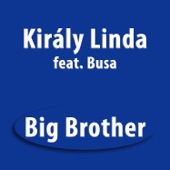 Big Brother (feat. Busa) artwork