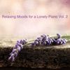 Lonely Piano - Nocturne No. 2 by Chopin