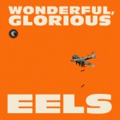 Wonderful, Glorious (Deluxe Version) artwork
