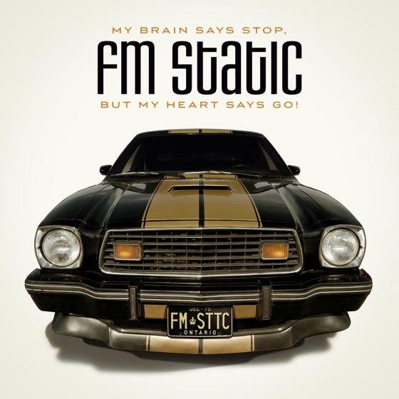 Cover artwork for F.M.S.T.A.T.I.C.