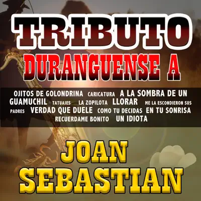 Tributo Duranguense - Joan Sebastian