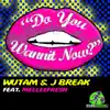 Do You Wannit Now (feat. Melleefresh) - Single album lyrics, reviews, download