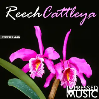 Cattleya - Single by Reech album reviews, ratings, credits