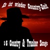 Es ist wieder Country-Zeit: 16 Country & Trucker Songs