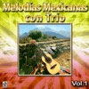 Melodías Mexicanas Con Trio, Vol. 1
