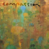 Compassion: A Tribute to Yehudi Menuhin artwork