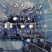 A Flock of Seagulls - I Ran (So Far Away) [Die Krupps Remix]