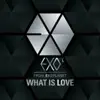 What Is Love (Korean Version) - Single album lyrics, reviews, download