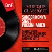 Sándor Kónya singt Puccini-Arien (Stereo Version) artwork