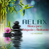 Música para Relajación y Meditación (SPA - Música para el Bienestar) - Double Zero