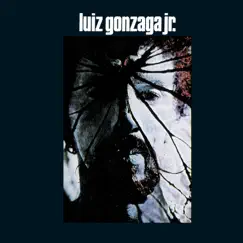 Luiz Gonzaga Jr - Gonzaguinha by Luiz Gonzaga album reviews, ratings, credits