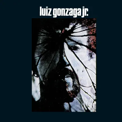 Luiz Gonzaga Jr - Gonzaguinha - Luiz Gonzaga