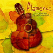 Flamenco Patrimonio De La Humanidad - Varios Artistas
