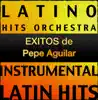Éxitos de Pepe Aguilar (Instrumental) album lyrics, reviews, download