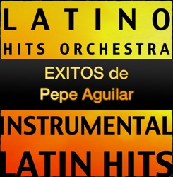 Latino Hits Orchestra - Chaparrita