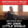 My Own Little World (Performance Tracks) - EP album lyrics, reviews, download