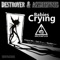 Babies Crying (Viper X Remix) - Destroyers & Aggresivnes lyrics