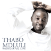 Wonderful Life - Thabo Mdluli