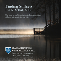 Eva M. Selhub, M.D. - Finding Stillness: Meditations from the Benson-Henry Institute for Mind Body Medicine at Massachusetts General Hospital artwork