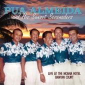 Hula Nova (feat. The Sunset Serenaders) artwork