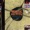 Trilok Gurtu - 21 Spices