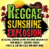 Reggae Sunshine Explosion (Digital Version) artwork