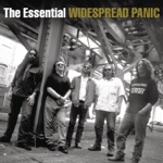 Widespread Panic - C. Brown