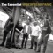 Pickin' up the Pieces (feat. Branford Marsalis) - Widespread Panic lyrics