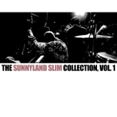 Sunnyland Slim - Keep Your Hands Out of My Money