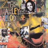 Ziggy Marley & The Melody Makers - Black My Story (Not History)