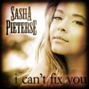 I Can't Fix You - Single