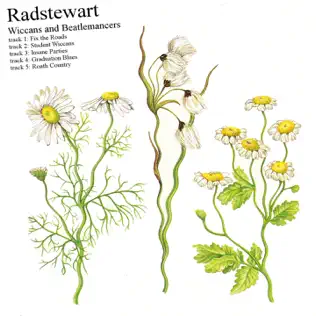 last ned album Radstewart - Wiccans And Beatlemancers