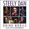 Steely Dan - Do It Again (Live)